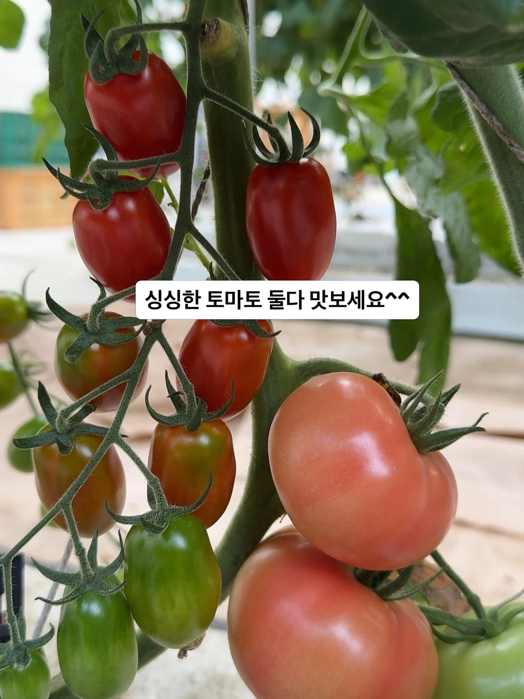하브루타 가정예배 자료 3