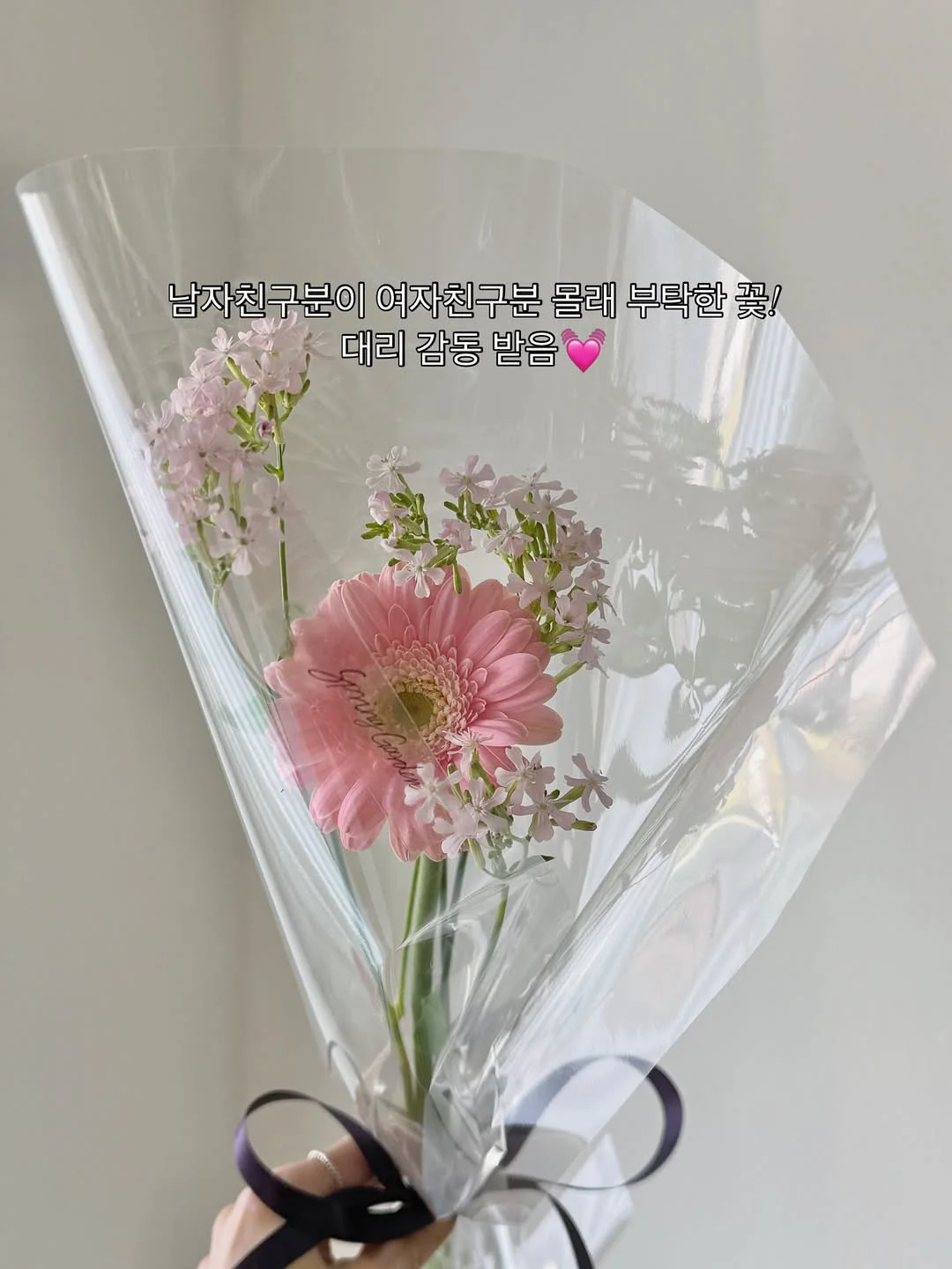 쇼펜하우어 인생수업 5