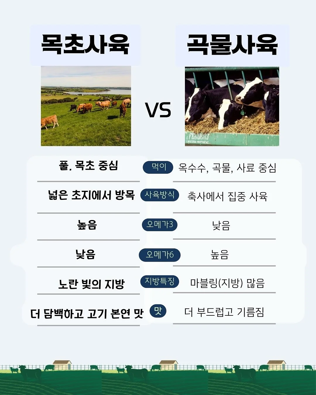마호로사 뿌리는 광채 세럼 4