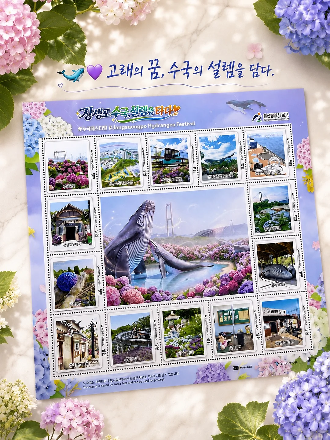 6CM 왕볼륨 브라 1