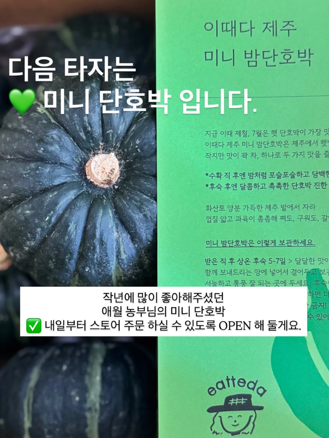 치보키 신상 핸드크림 13
