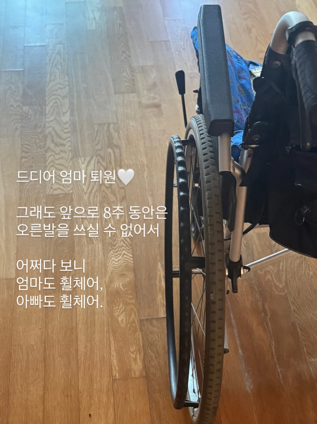 치보키 신상 핸드크림 15