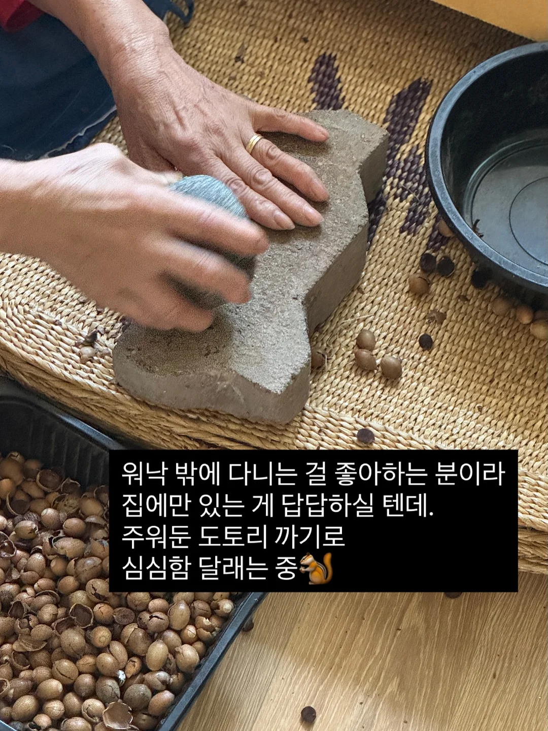 치보키 신상 핸드크림 17