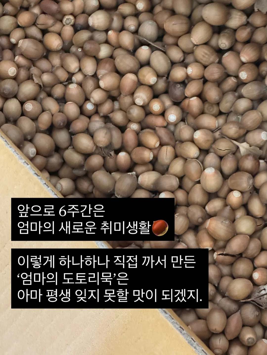 치보키 신상 핸드크림 18