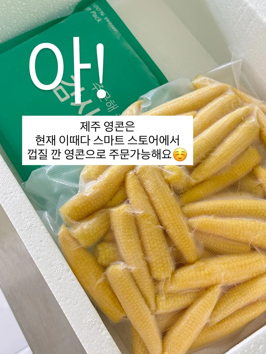 치보키 신상 핸드크림 10