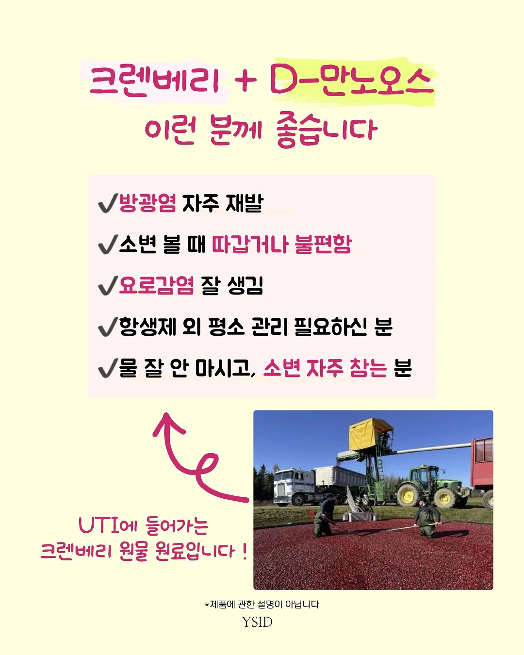 플루리네네 플라워 키즈 클래스 4
