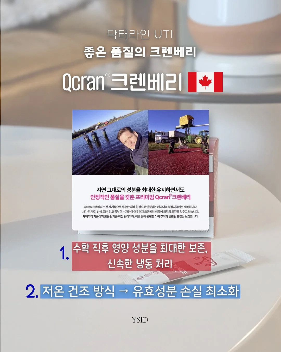 플루리네네 플라워 키즈 클래스 6