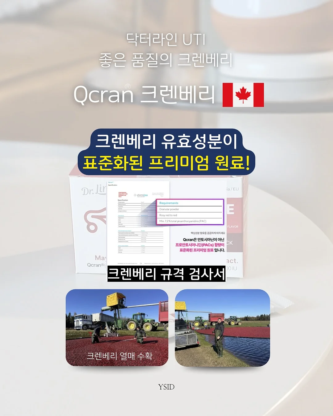 플루리네네 플라워 키즈 클래스 7