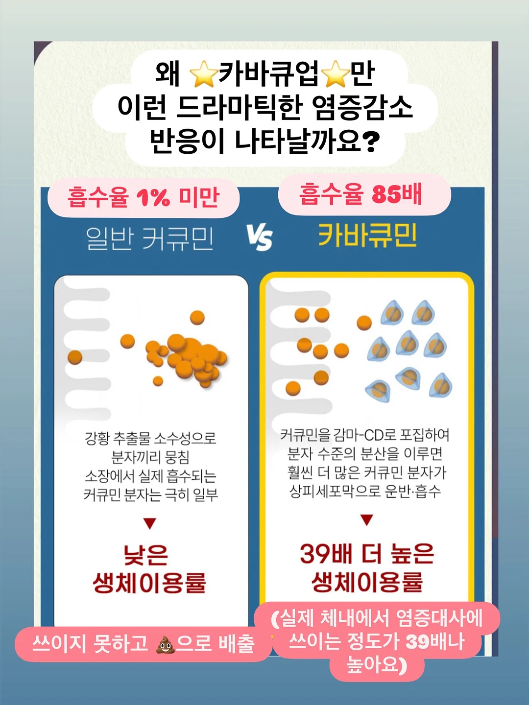 흔들리는 날마다 우리는 쉬운 위로를 찾습니다 5