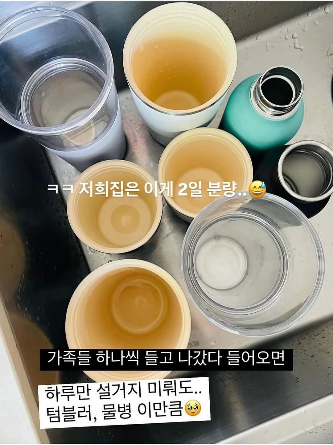 플럼바고 3