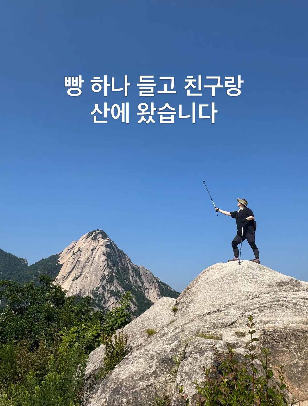 아기상어x아띠래빗 자석블럭 1