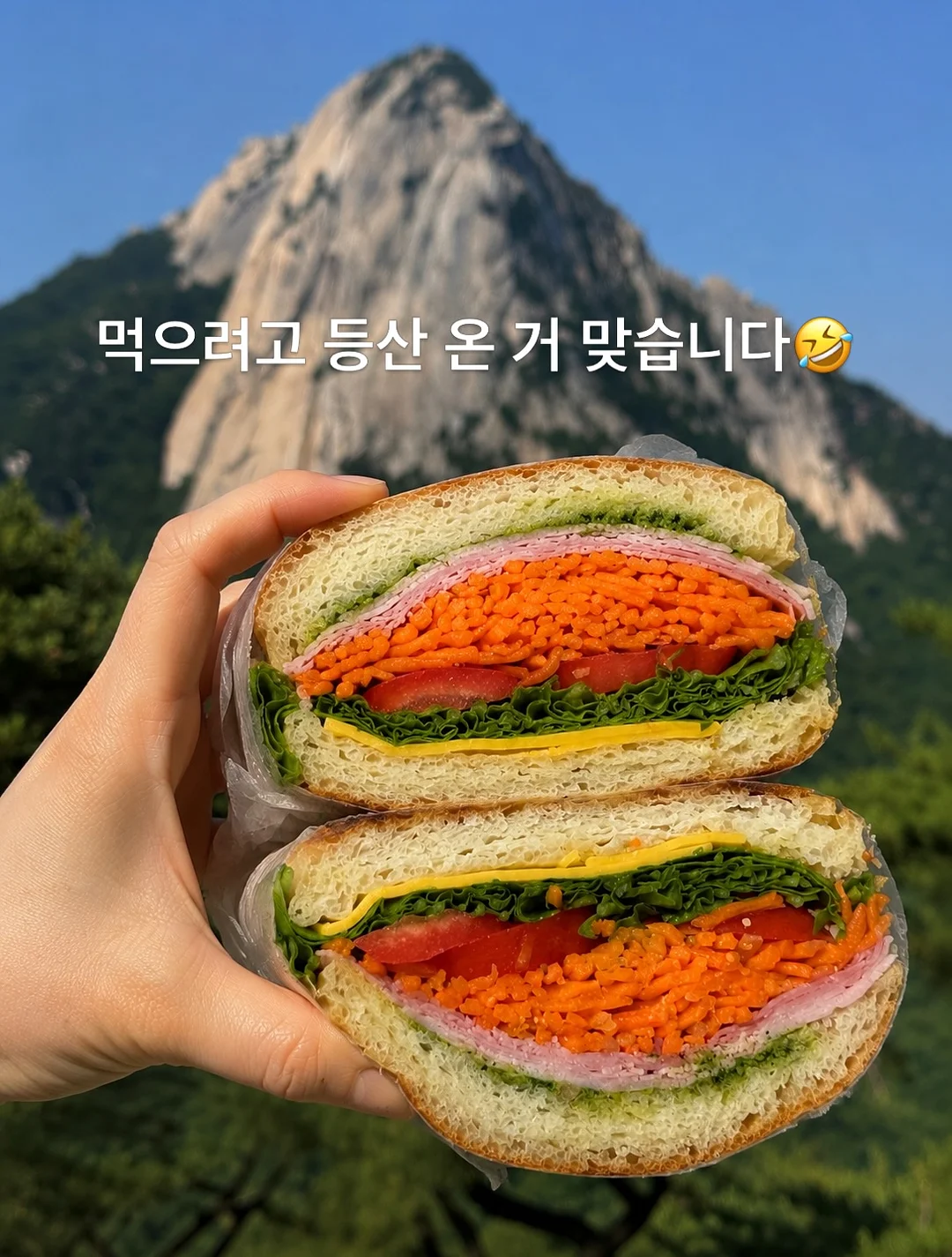 아기상어x아띠래빗 자석블럭 2