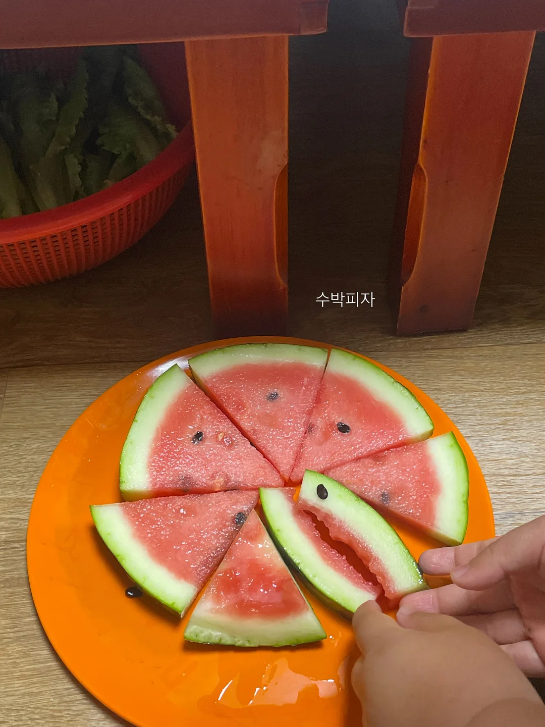 두꺼비집 가리개 5