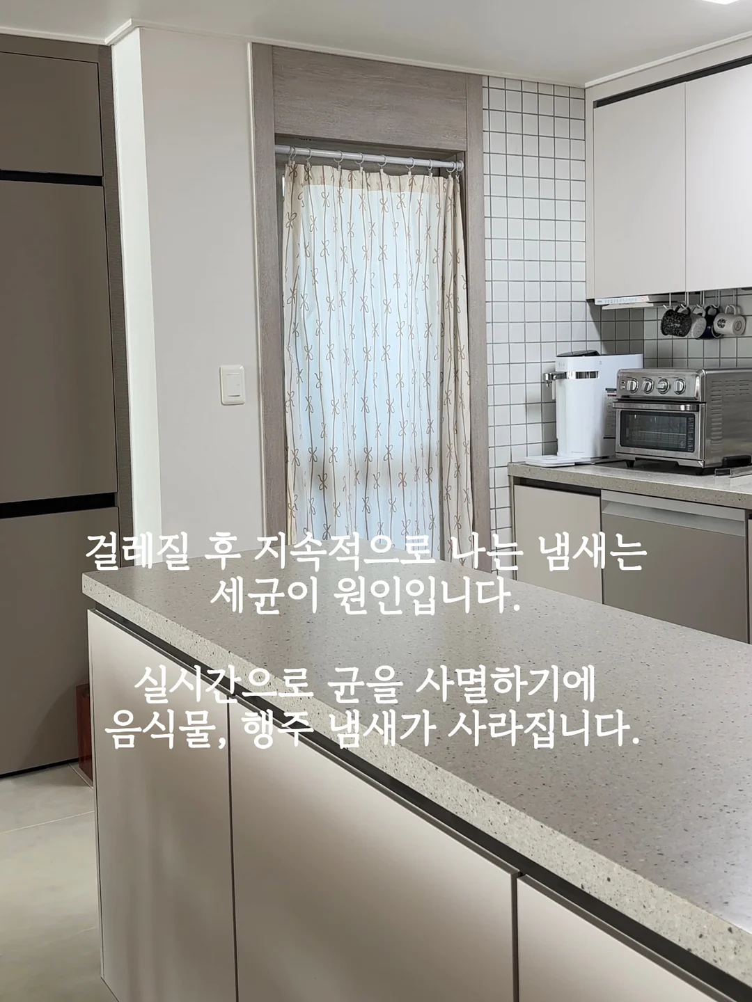 summer 홀케이크 4
