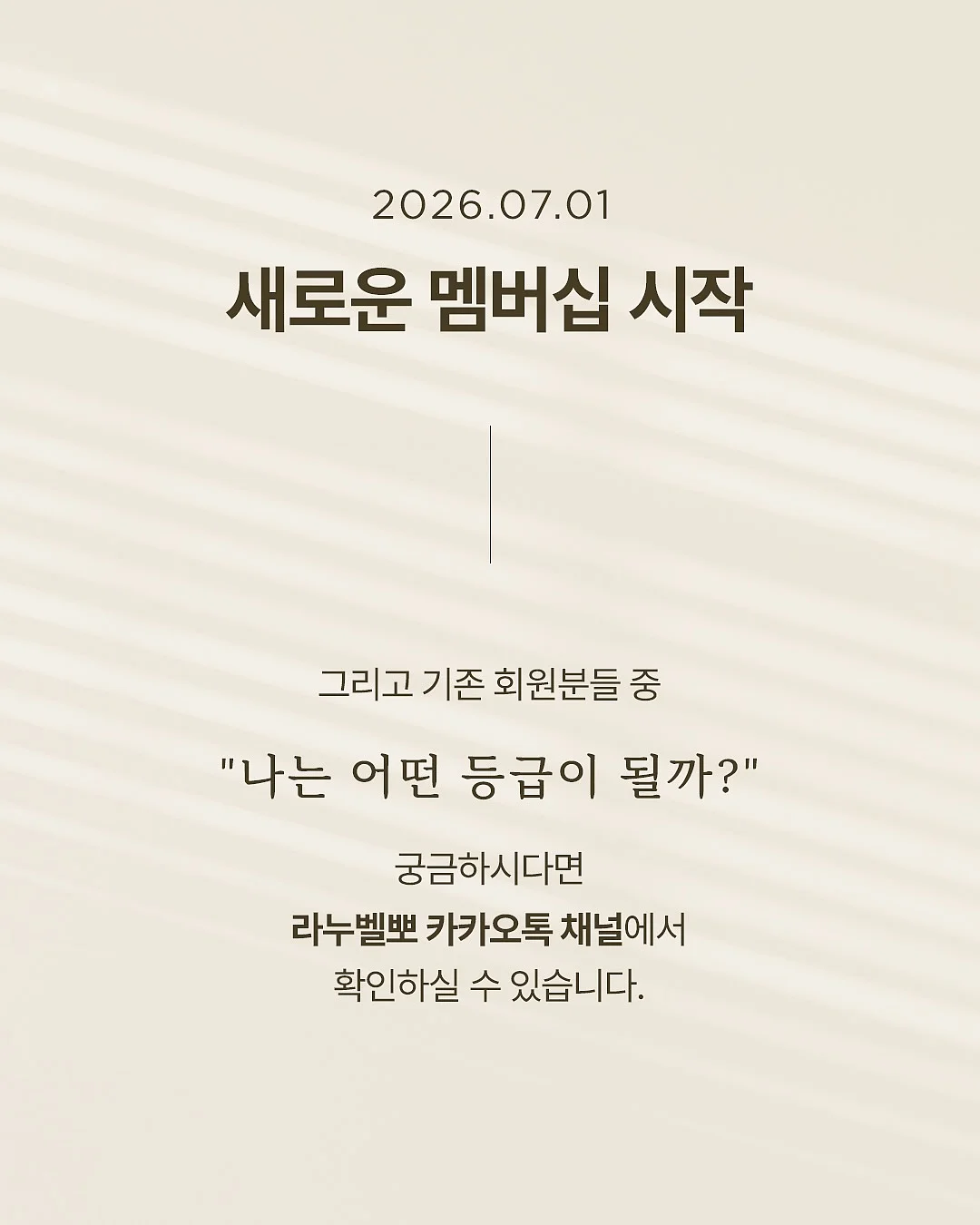 BAS 탈취제 5