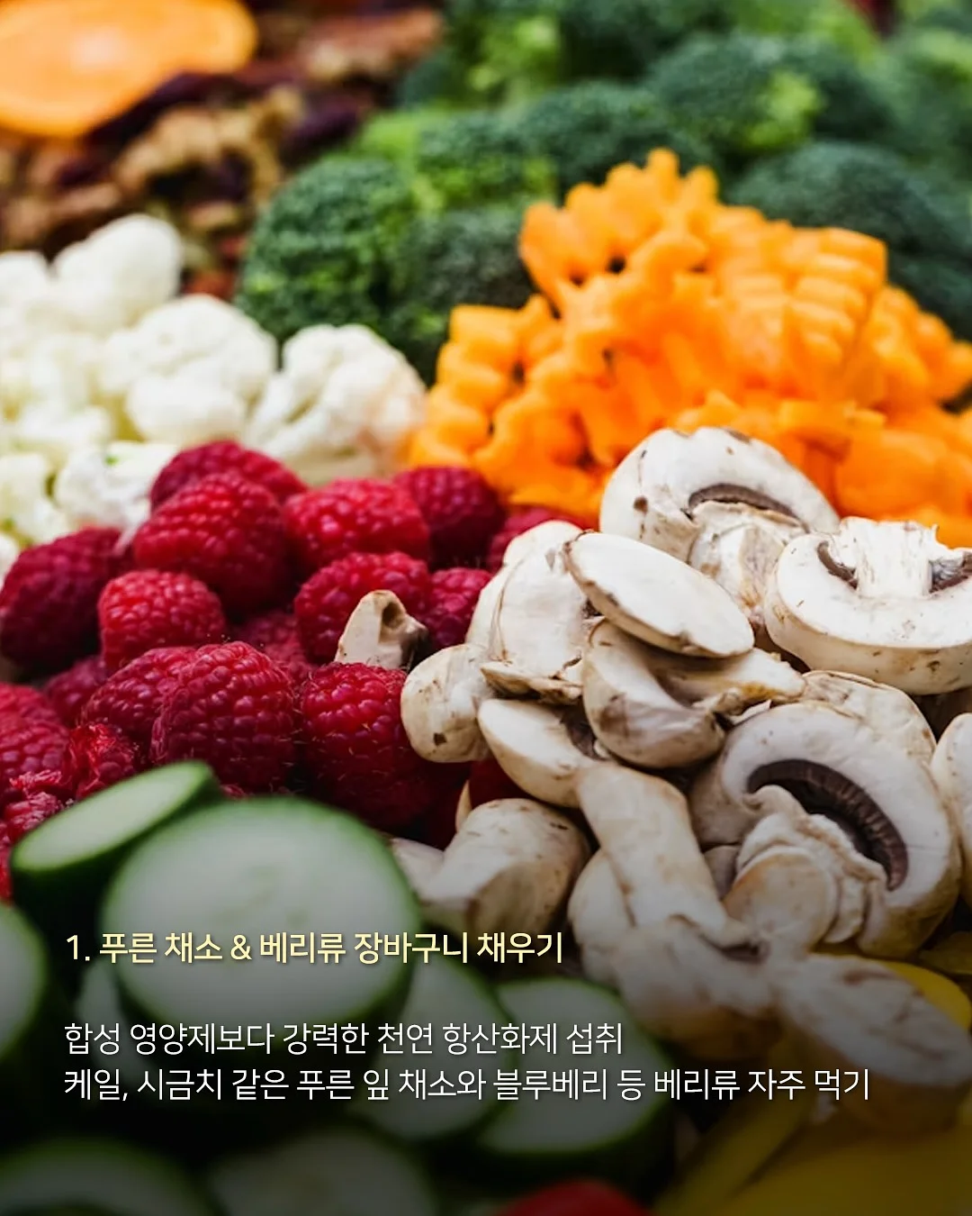 엘리 멀티 비타민 구미 3