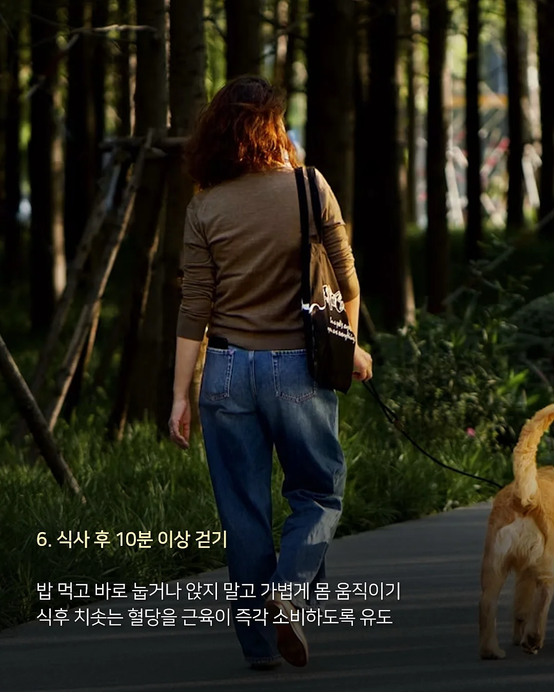 엘리 멀티 비타민 구미 7