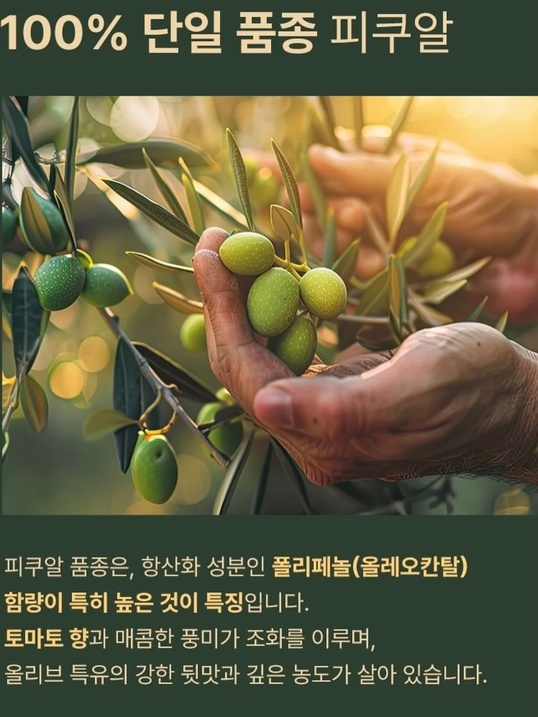 블로그 수익화 로드맵 10