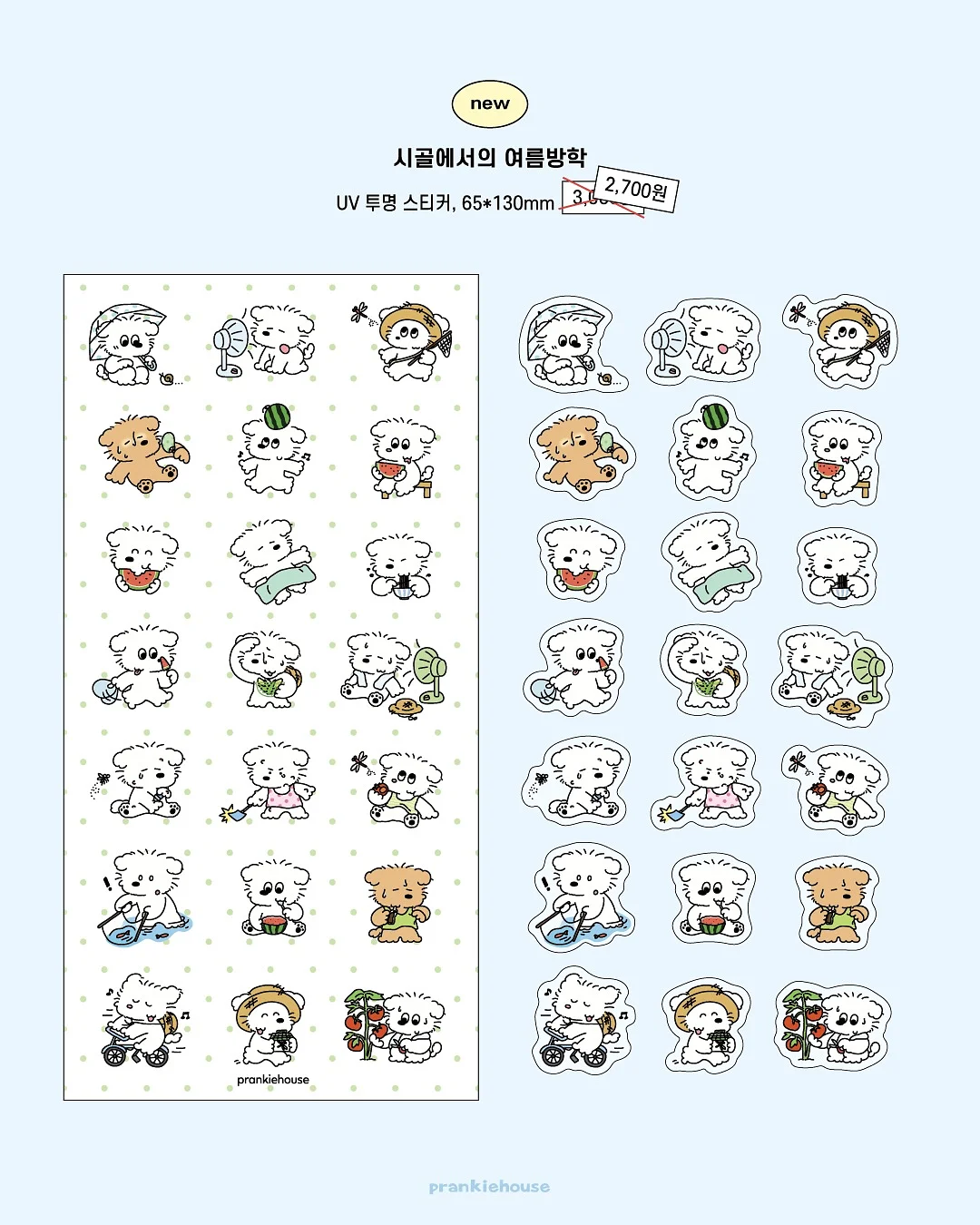 코리락쿠마 티팟 4