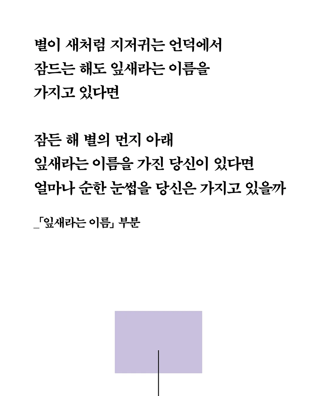 첼시 미니레이스 케이프 5
