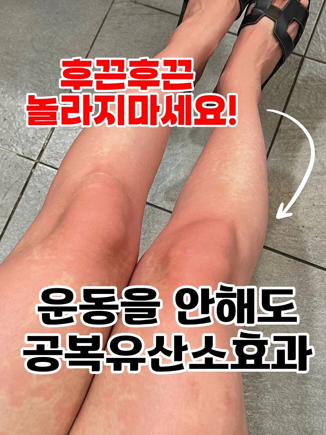 메타그린 젤리 더블컷 1
