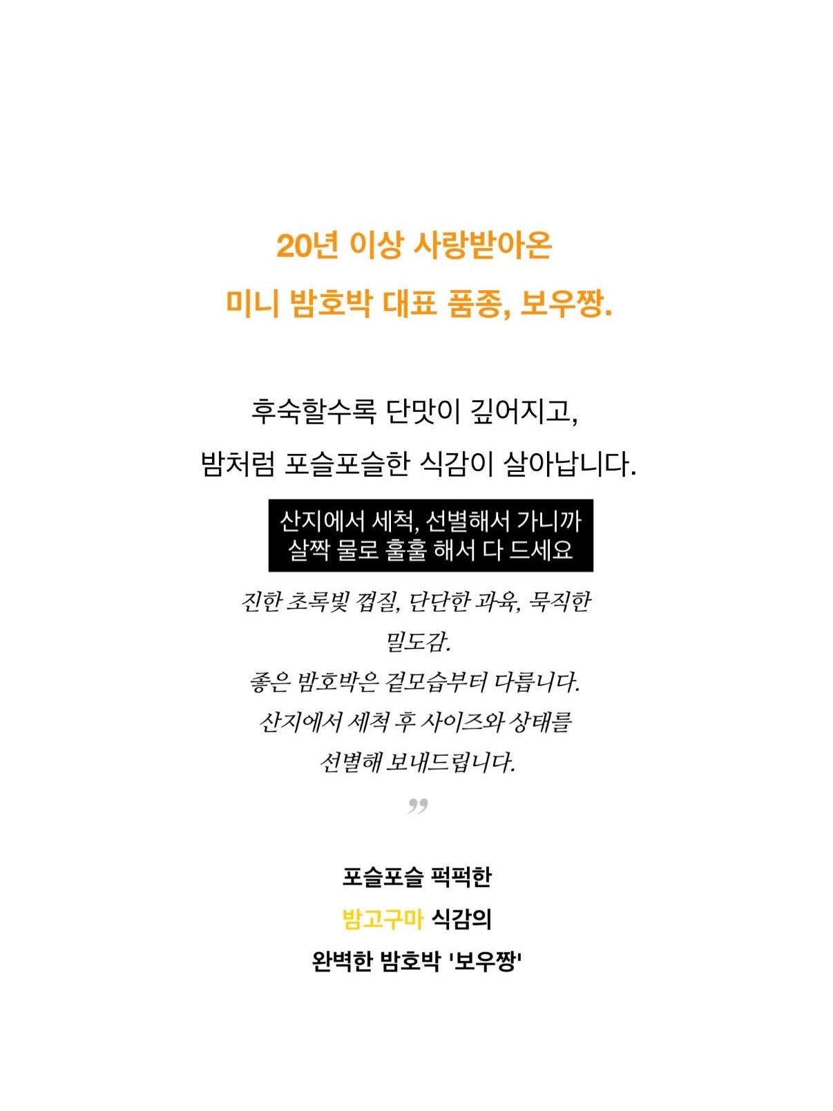 세계척학전집 – 초월자의 조건 11