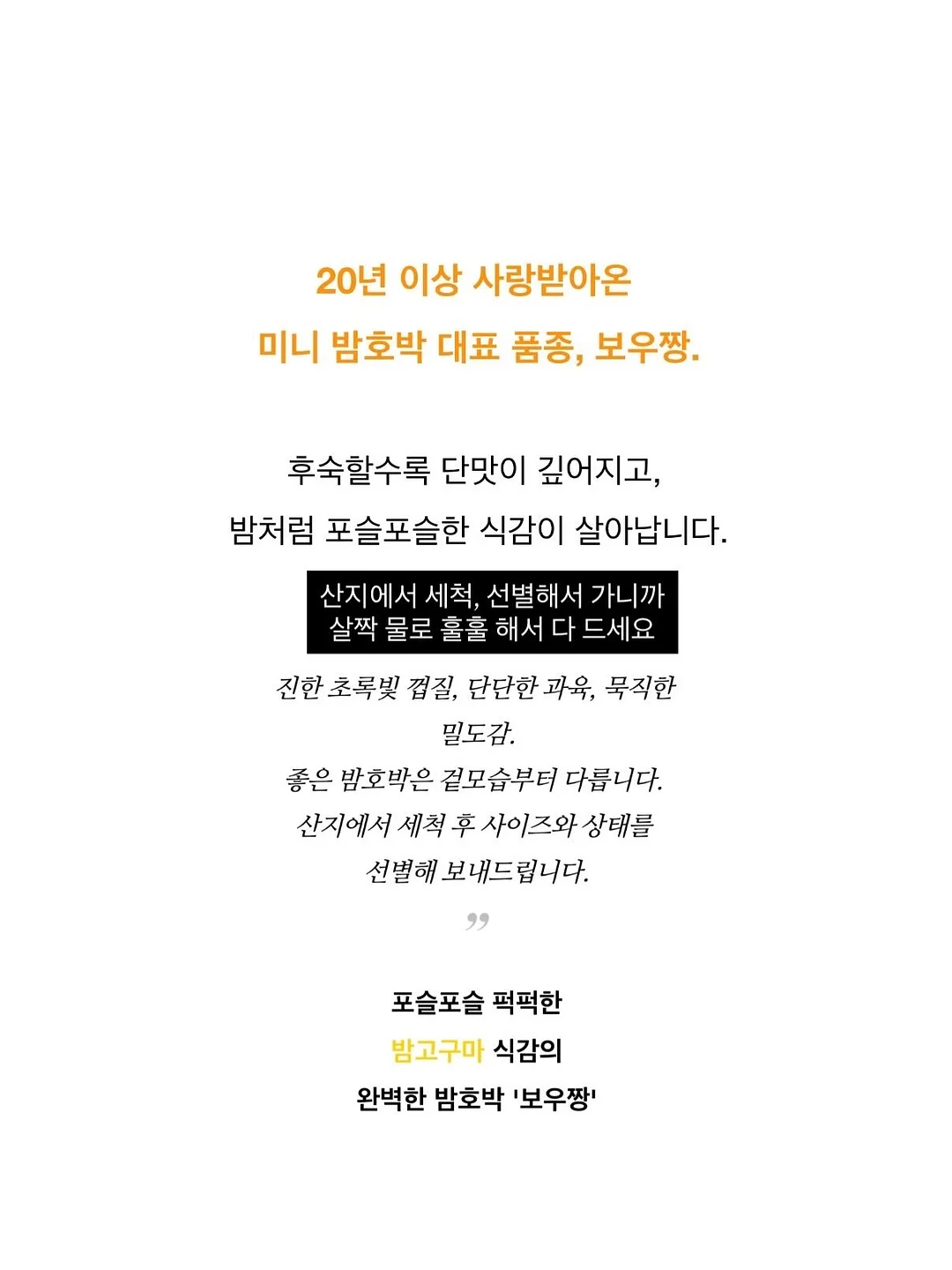 밀크 핫썸머 11