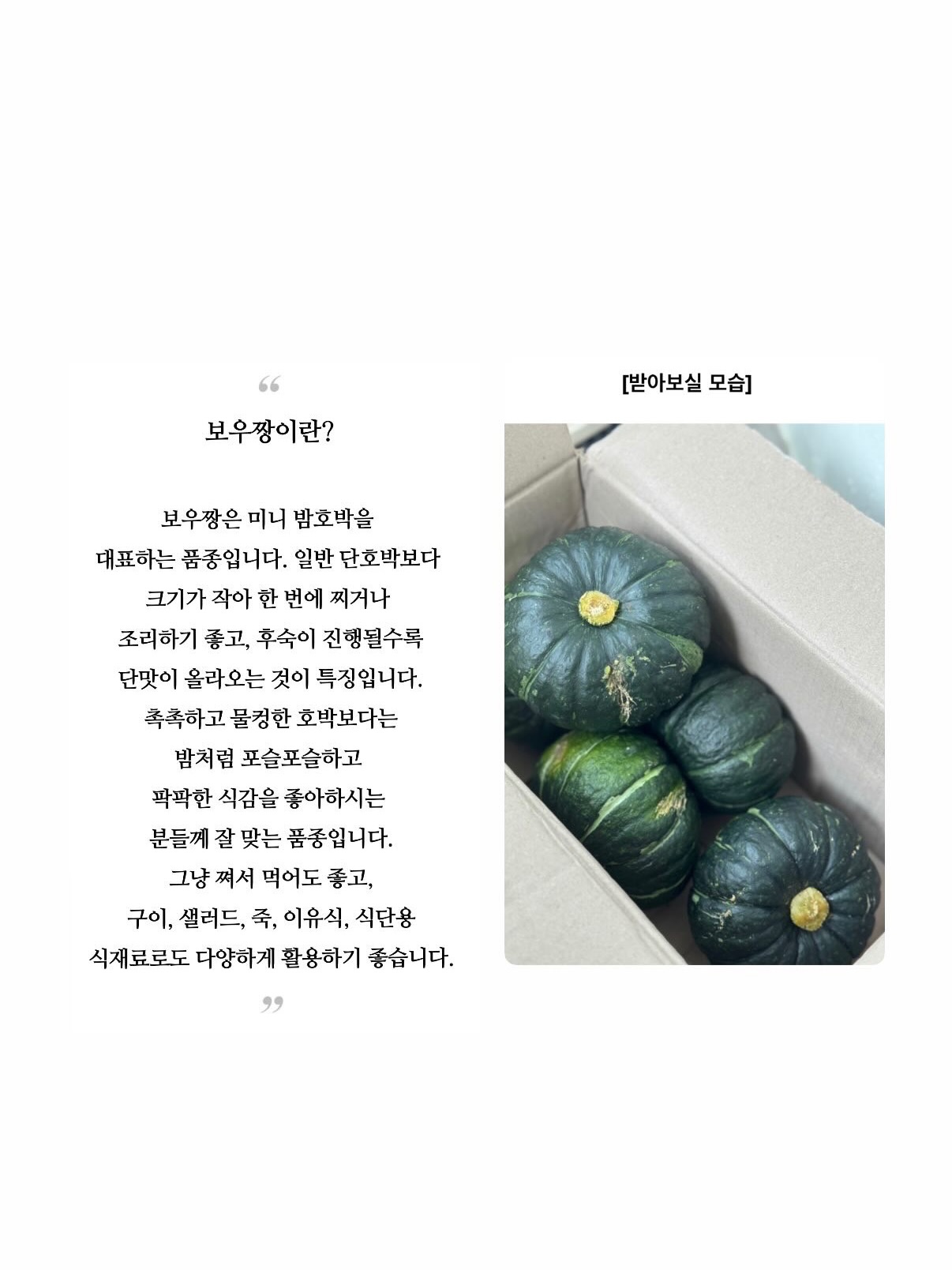 세계척학전집 – 초월자의 조건 12