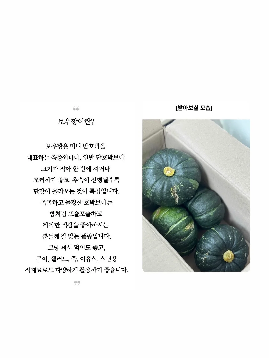 밀크 핫썸머 12