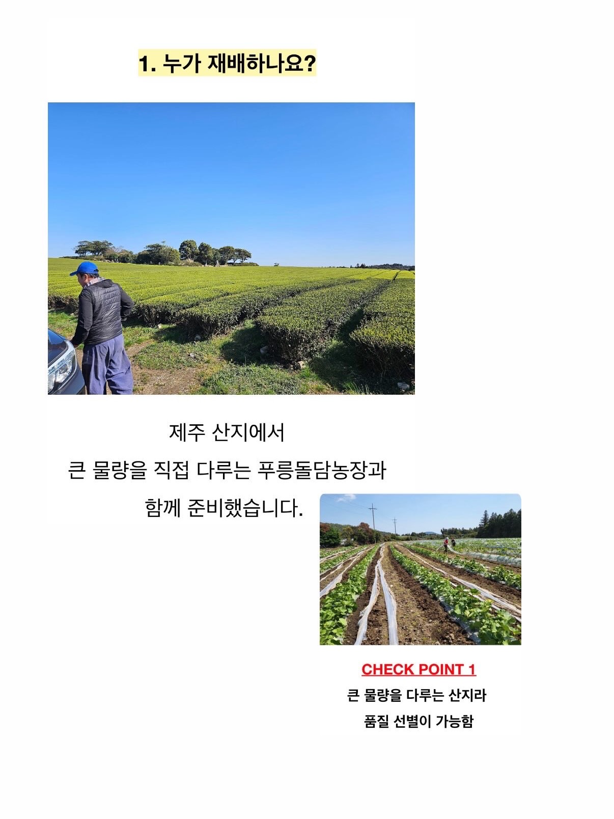 세계척학전집 – 초월자의 조건 13