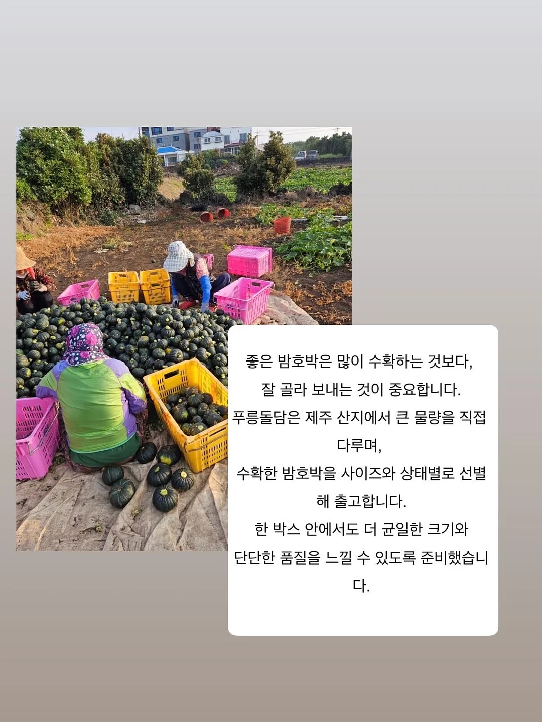 밀크 핫썸머 14