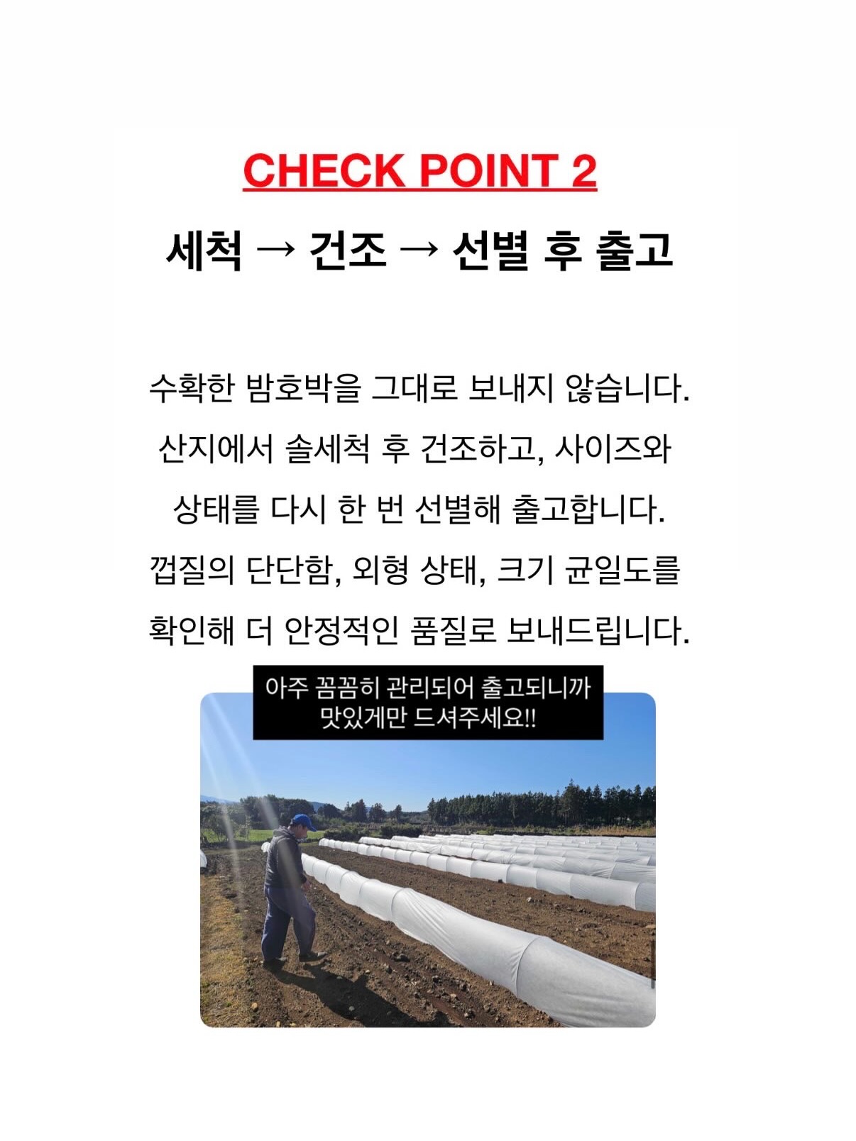 세계척학전집 – 초월자의 조건 15