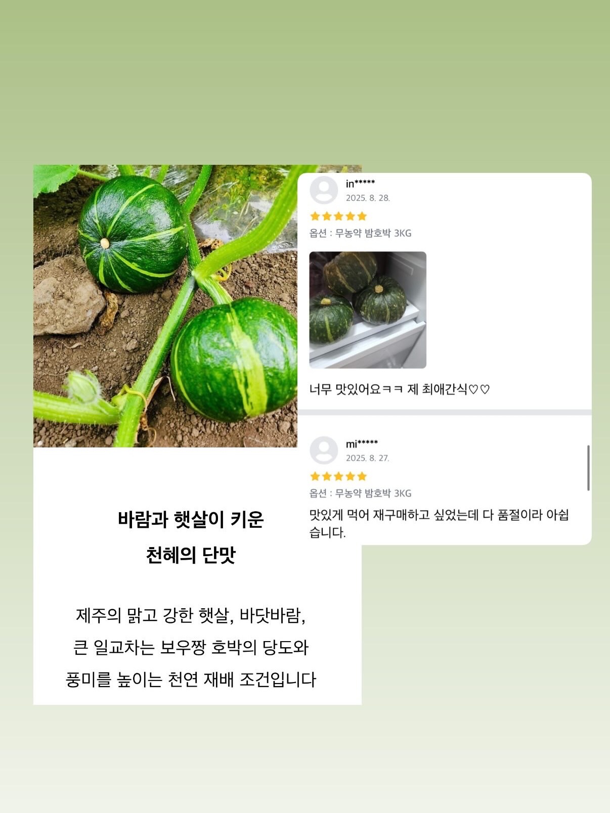 세계척학전집 – 초월자의 조건 16
