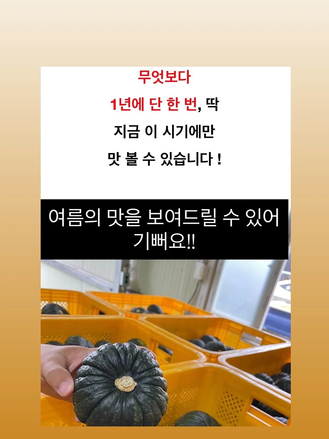 밀크 핫썸머 17