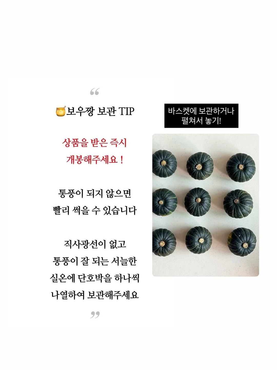 밀크 핫썸머 19