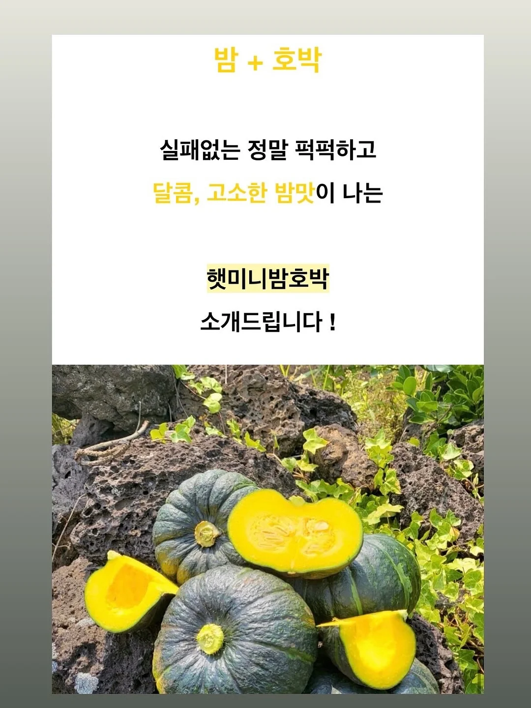 밀크 핫썸머 10