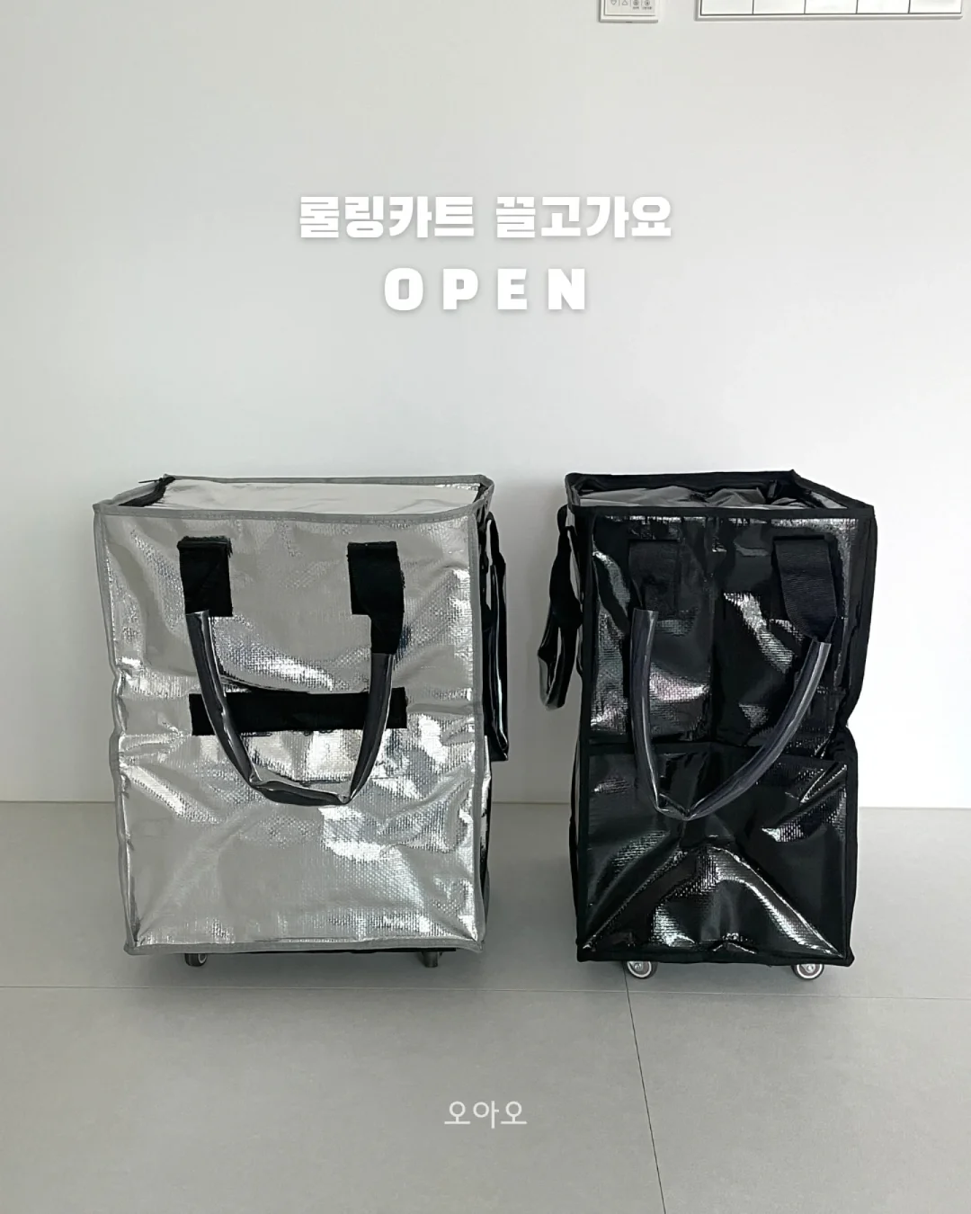 호일티 1
