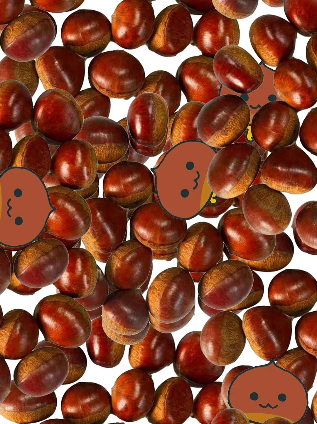 Bimuno GOS 프리바이오틱스 것파우더 2