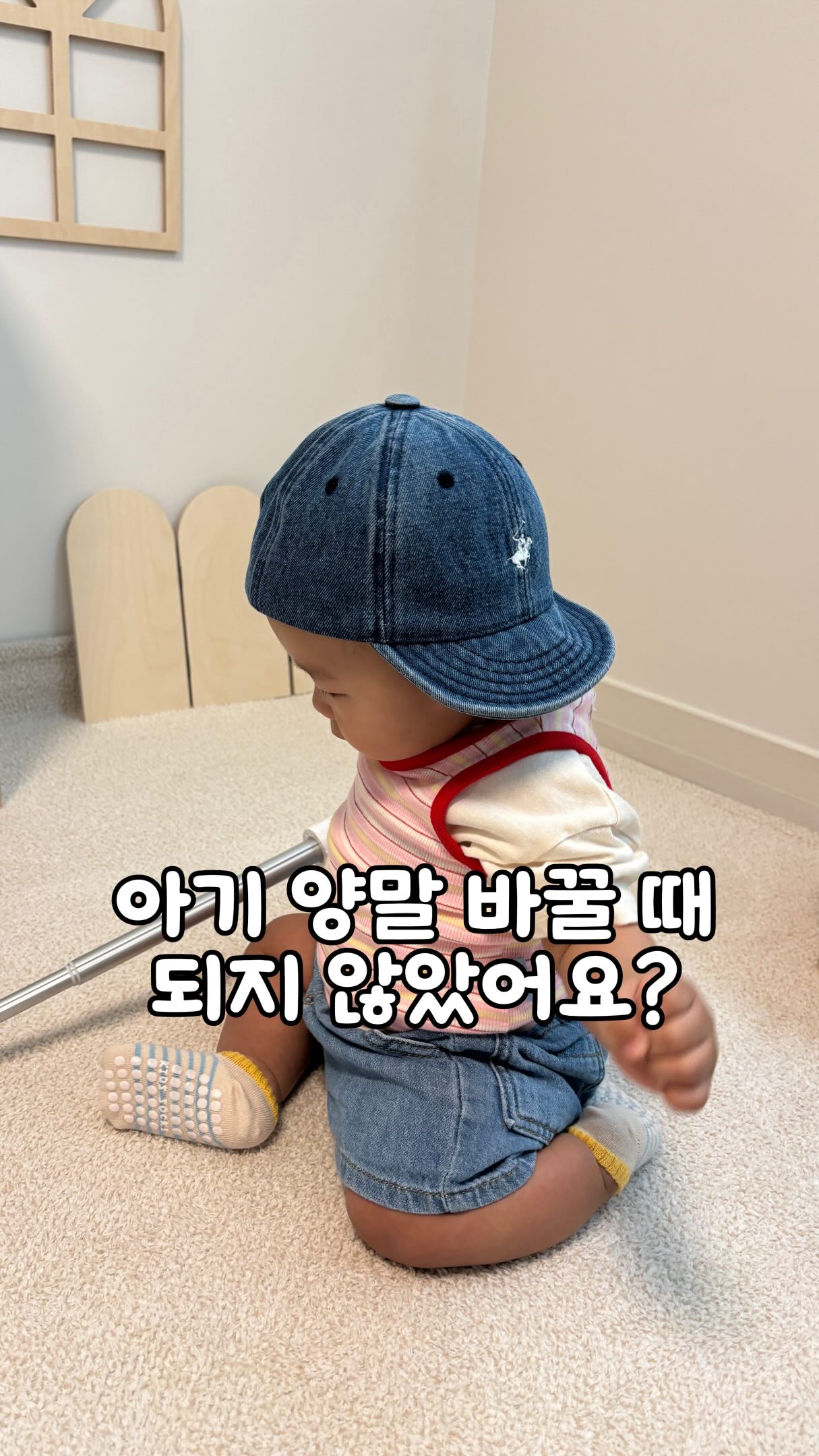 컷팅 수박