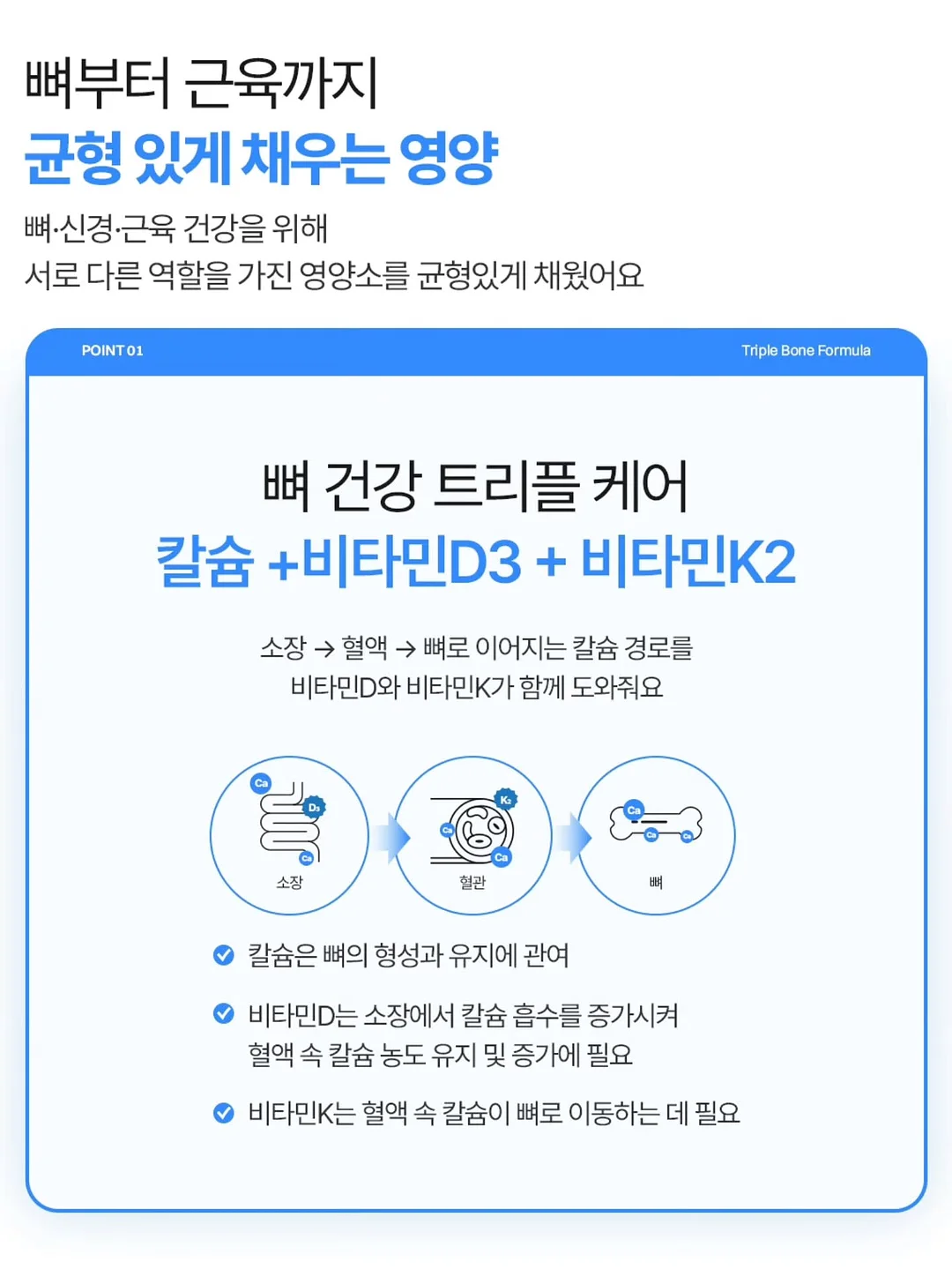 블루마마 실리콘 약병 11