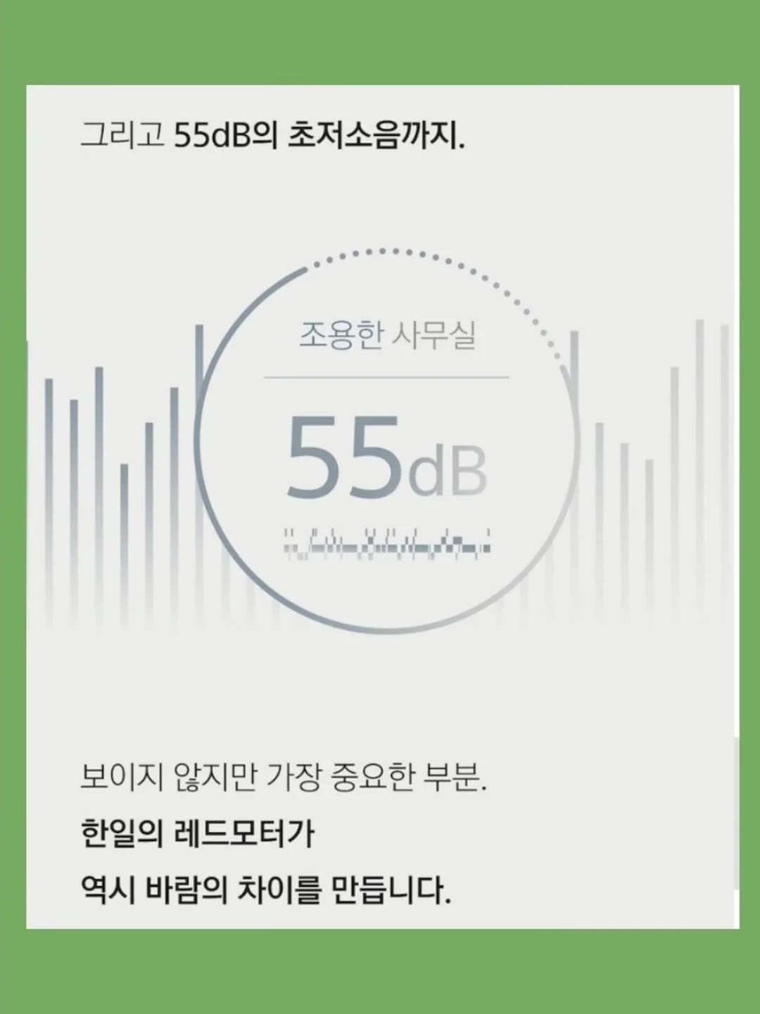 황칠나무 13