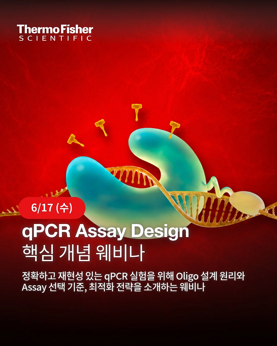 두번째인도 여름 이불 3