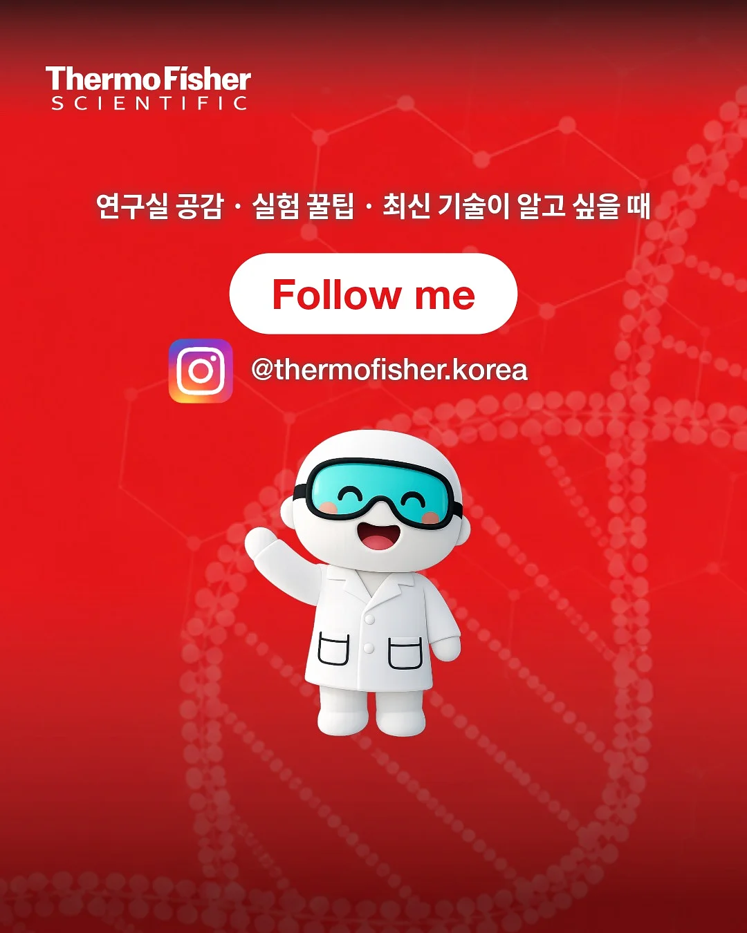 두번째인도 여름 이불 5