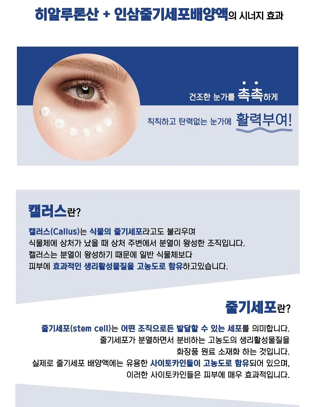 맨투맨 13
