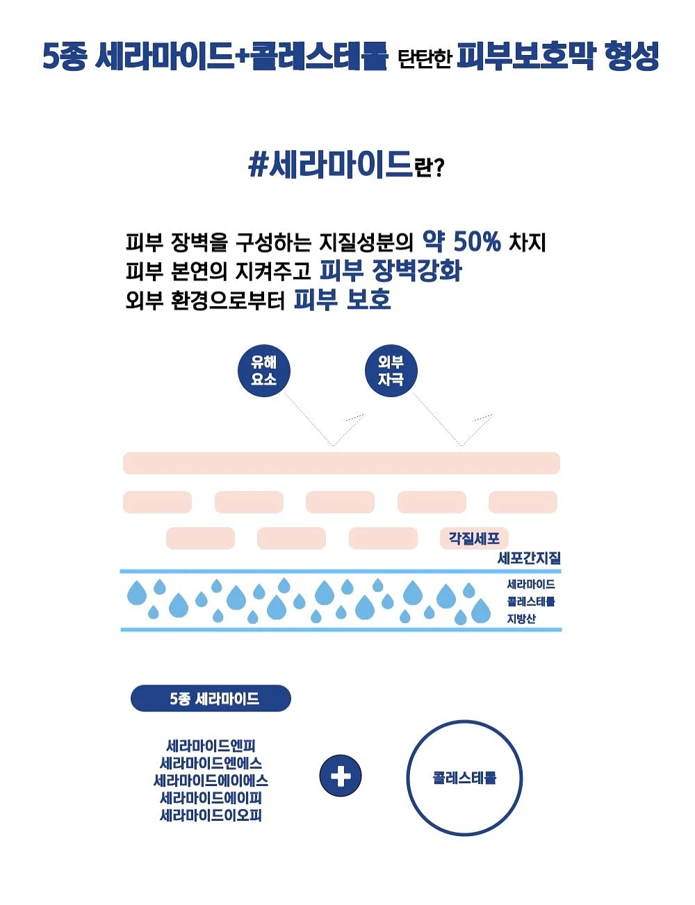 맨투맨 7