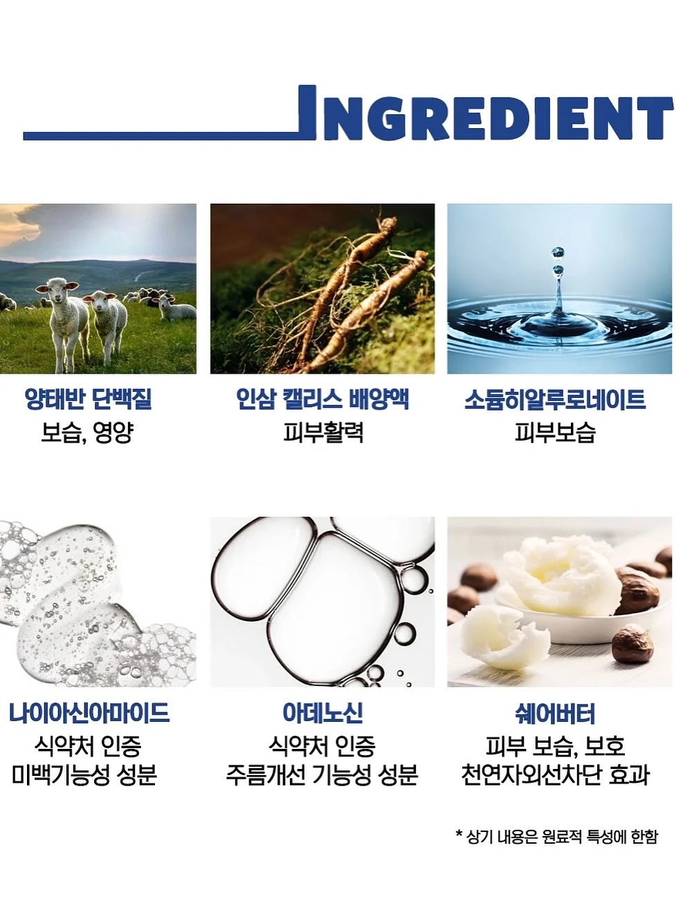 맨투맨 8