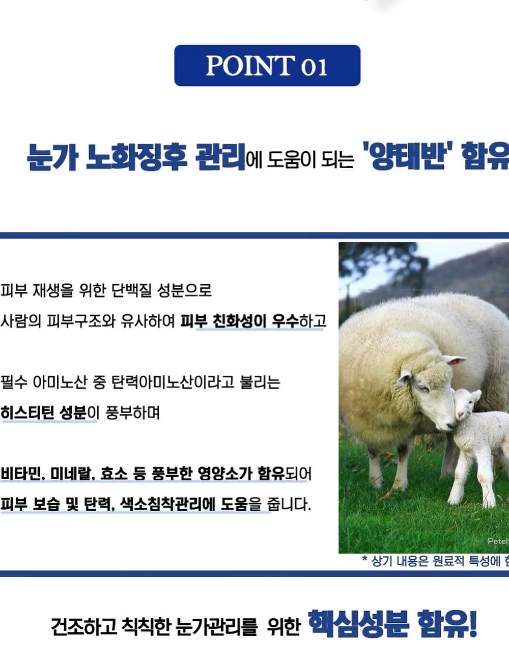 맨투맨 10