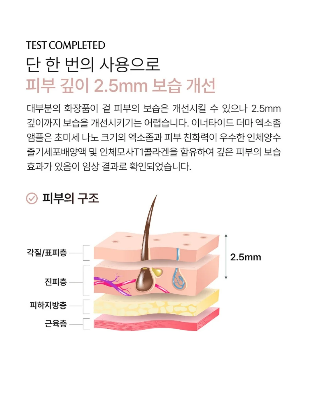 알텐바흐 저압냄비 4