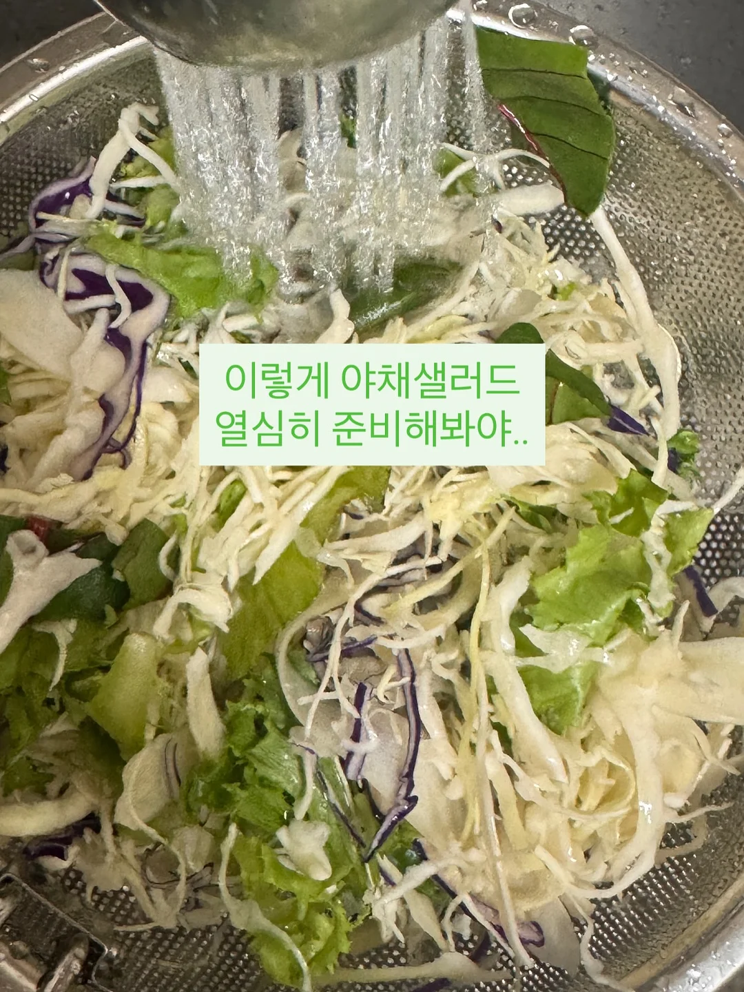 딘토 노스탈지아 아이 팔레트 10