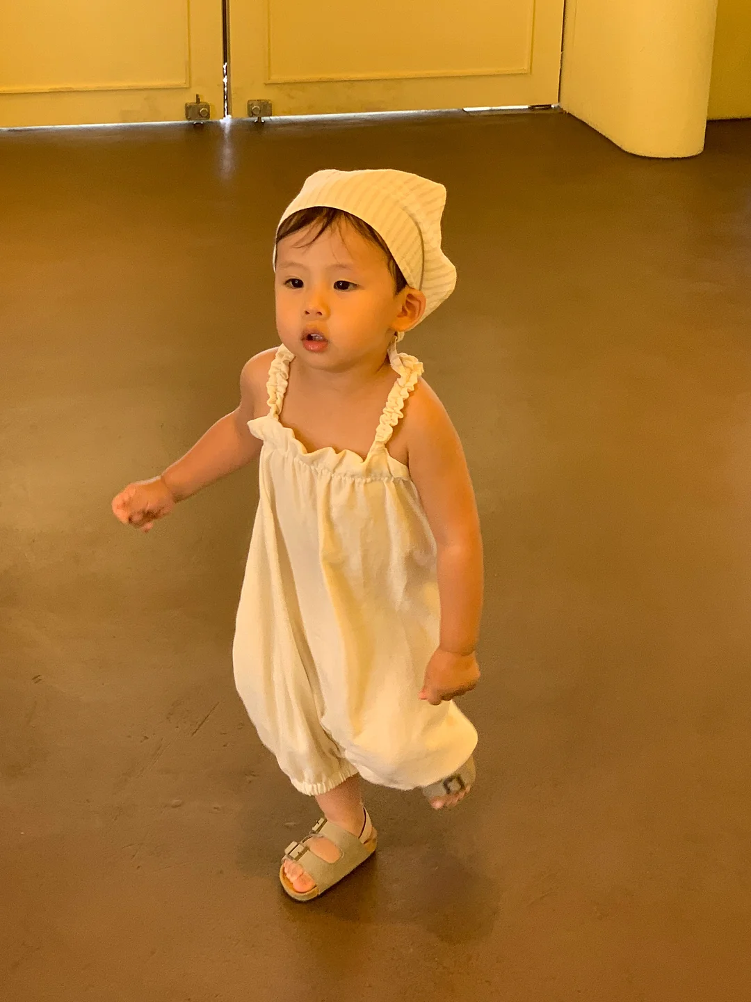 6모 대비 학습 상품 11